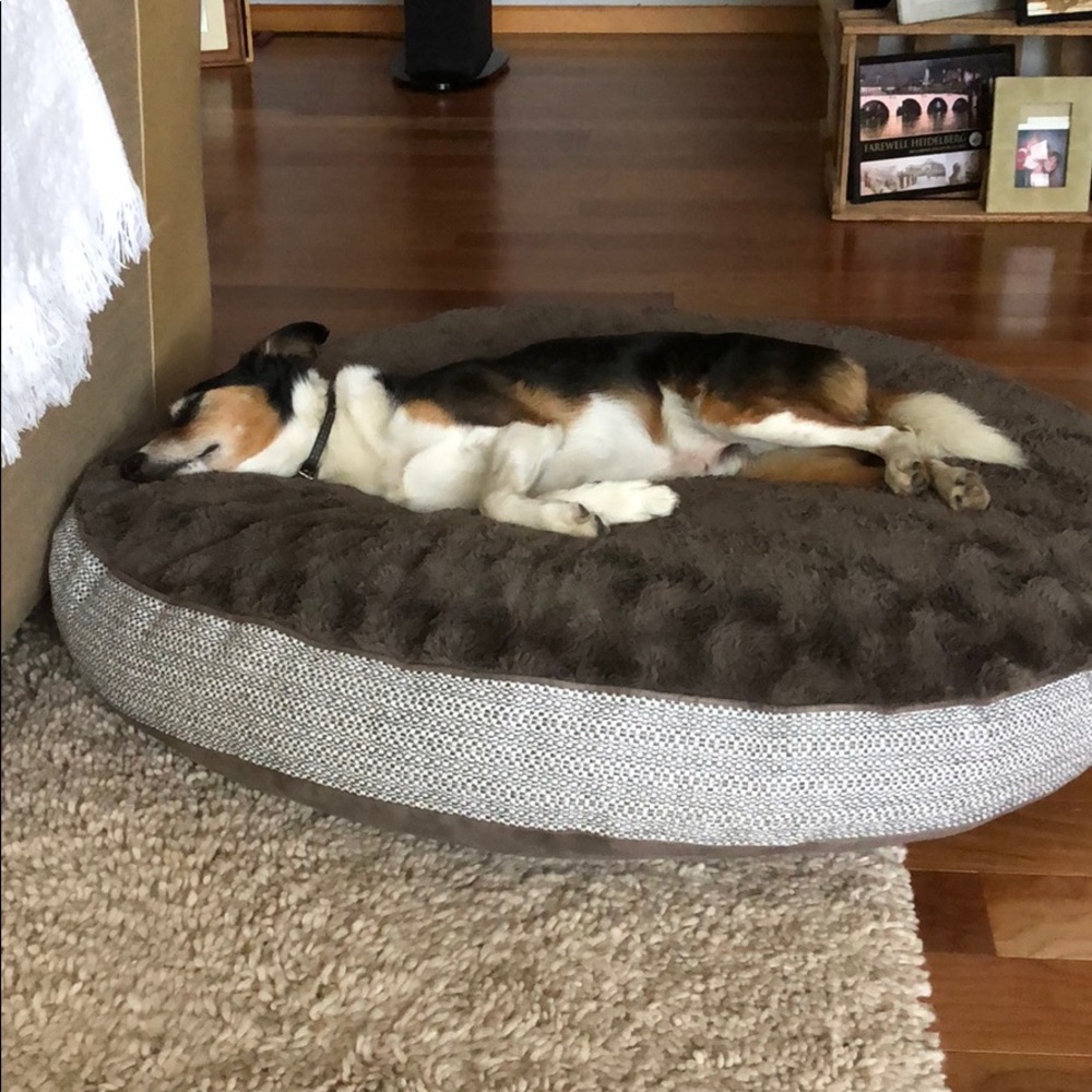 Meet your Posher, Cheryl